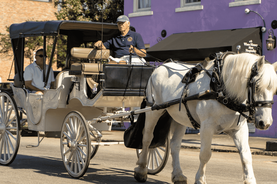Charleston, SC: Private Pferdekutschenfahrt am Tag. Foto: GetYourGuide Charleston, SC: Private Pferdekutschenfahrt am Tag. Foto: GetYourGuide