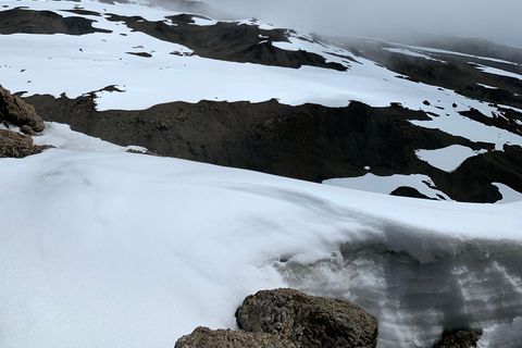 Arusha : Vol panoramique du Kilimandjaro et du Mont Meru