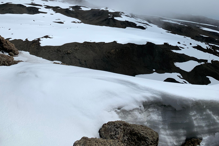 Arusha : Vol panoramique du Kilimandjaro et du Mont Meru