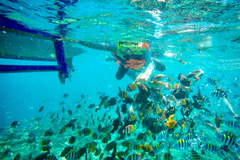 Lombok: Private Snorkeling,Gili Trawangan,Gili Meno,Gili Air Start From: Tetebatu/Lembar Port/Gili Mas Port