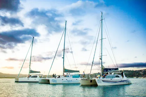 Knysna: Passeio de aventura marinha em catamarã de luxo