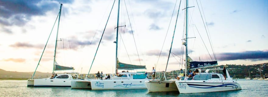 Knysna : Circuit d'aventure maritime en catamaran de luxe