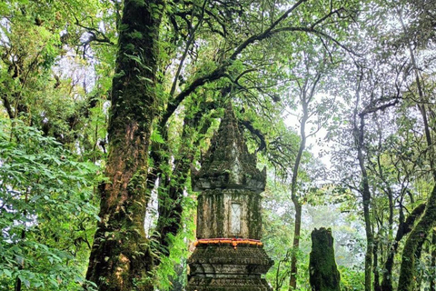 Private Tour Doi Inthanon, Trekking Kew Mae Pan Nature Trail