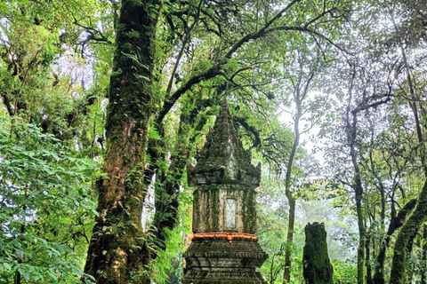 Chiang Mai : Parc national de Doi Inthanon, excursion d'une journée aux chutes d'eauRejoindre un petit groupe