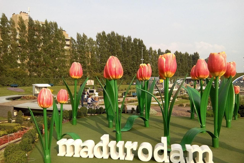 Von Amsterdam aus: Private Tour zum Keukenhof und Madurodam