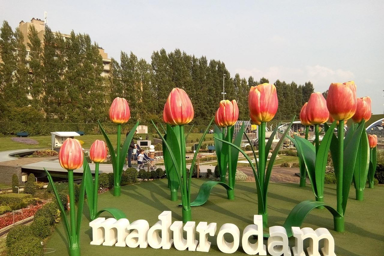 De Amsterdã: Tour particular para Keukenhof e Madurodam