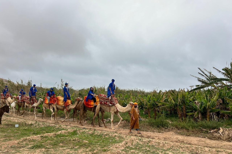 Desde Agadir: Paseo en Camello y Excursión a los Flamencos