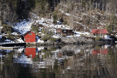 Best of Bergen: Fjord Cruise and Guided City Walk