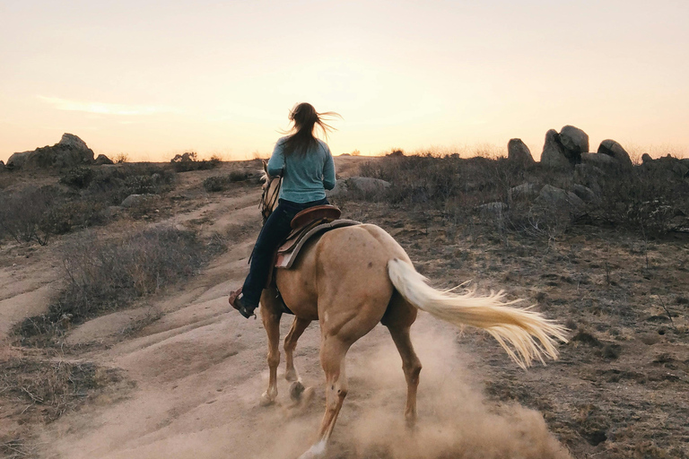 阿根廷：潘帕斯草原上的高乔骑马探险