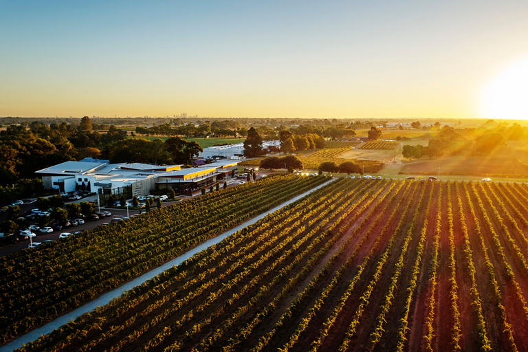 وادي سوان: جولة في قبو ماندون العقاري لتذوق النبيذ والمقبلاتوادي سوان: نبيذ كانابي فليت من قبو ماند