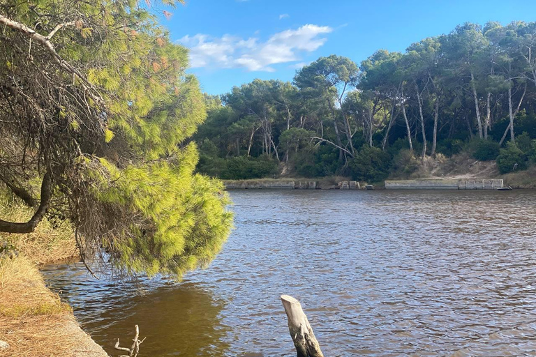 Valencia: De Albufera Lake Self-Guided E-Bike Tour