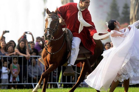 Trujillo : Marinera-show med peruanska pasohästar