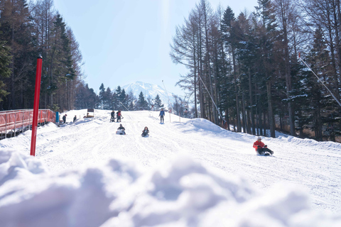 From Tokyo: Fujiyama Snow Resort Yeti Winter Ski Day Tour B (SKI + LIFT PASS): meeting at Shinjuku