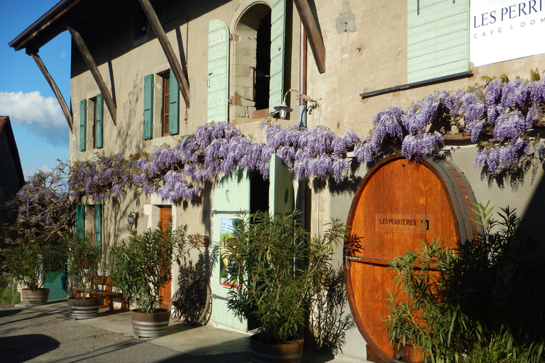 Campagna di Ginevra e degustazione di vini in E-Bike