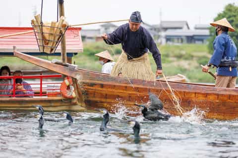 岐阜：長良川で伝統的な鵜飼観賞ツアー | GetYourGuide
