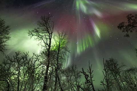 Tromso : Expédition de chasse aux aurores boréales et de photographie