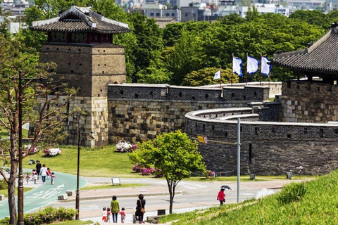 Private Suwon Tour from Seoul with 3 Attraction Options A - Private Suwon Hwaseong & Starfiled Tour from Seoul