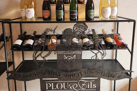 Loire Valley Wine Tour from Paris: 2 Wineries & 10 Tastings Premium Option
