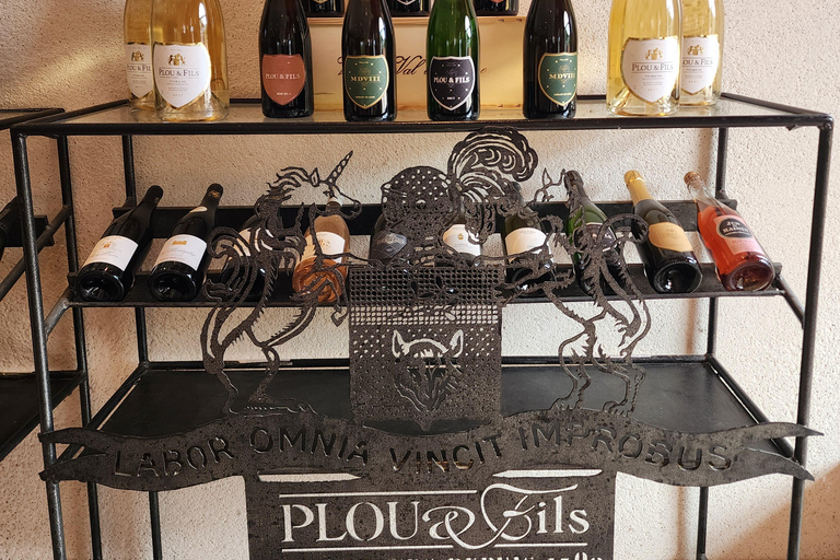 Loire Valley Wine Tour from Paris: 2 Wineries & 10 Tastings Premium Option