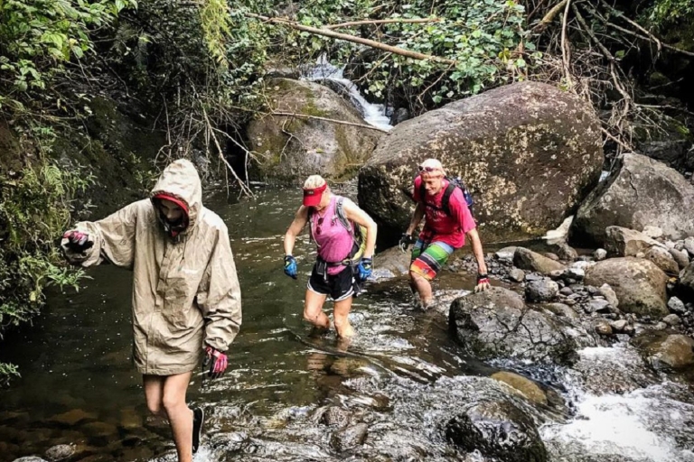 Kauai: Prywatna wycieczka po dżungli i tęczowym eukaliptusie