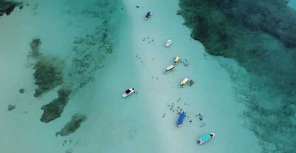 Cozumel: El Cielo, Reefs, and Turtle Sanctuary Snorkel Tour