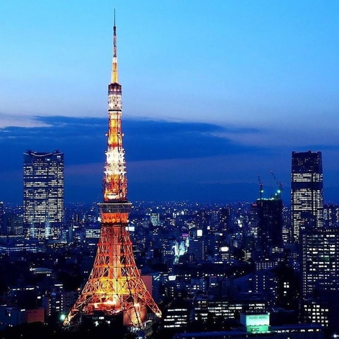 Tokyo: Private City Tour with Shinkansen to Osaka