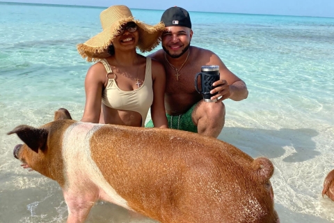 007-Mañana Todo Incluido Nadar con Cerdos en la Isla Rosa007 Todo Incluido-Nadar con cerdos en la Isla Rosa
