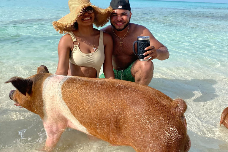 007-Mañana Todo Incluido Nadar con Cerdos en la Isla Rosa007 Todo Incluido-Nadar con cerdos en la Isla Rosa