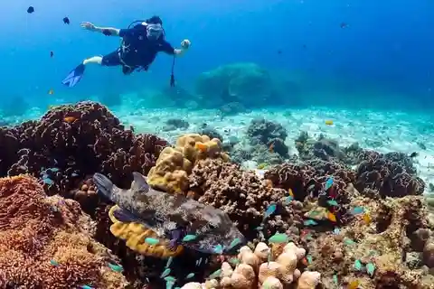 Explore Scuba diving at Racha Yai Island from Phuket