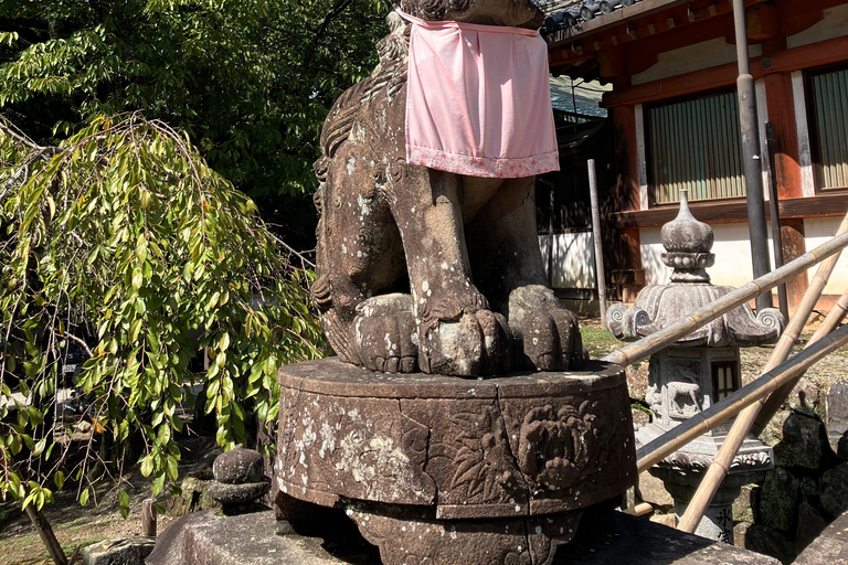 Nara Small Group Tour: Temples & Deer with a Licensed Guide Nara Walking Tour for Small Groups: Temples and Deer