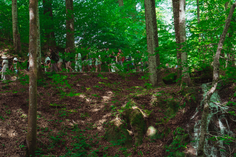 Zadar : Visite guidée des lacs de Plitvice avec billets