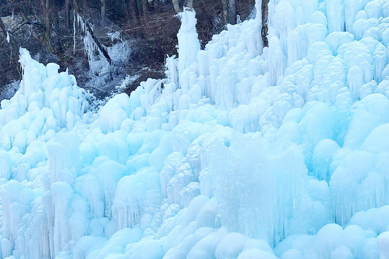 [Winter] Biseulsan Ice Festival & Must-visit Places in Busan Haeundae Station Exit 7