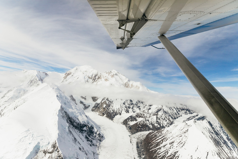 Talkeetna: رحلة جبلية مع هبوط اختياري على الجليدرحلة مع Glacier Landing
