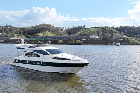 Porto: Rejs po 6 mostach z lokalnymi winami