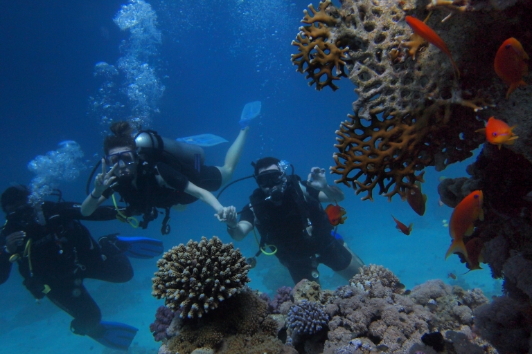 DSD Discover Scuba Diving für einen Anfänger oder Certified