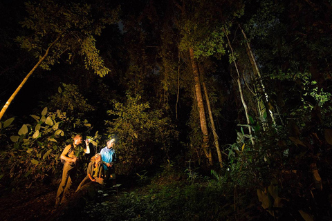 Van Madre de Dios | Nachtwandeling in het Amazone regenwoud