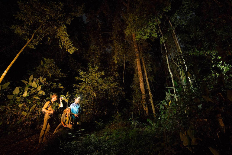 Från Madre de Dios | Nattvandring i Amazonas regnskog