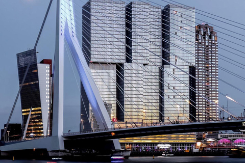 Amsterdam: Hague, Delft, and Rotterdam Day Trip