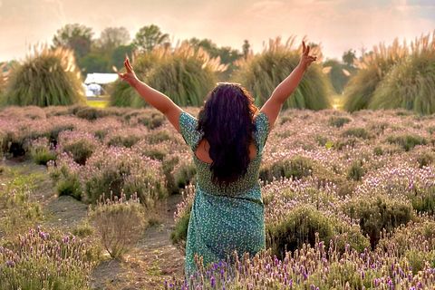 Lavender Ranch, Chautla and Val`Quirico. Private tour