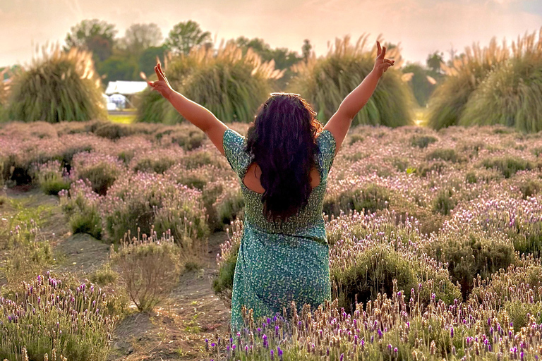 Lavender Ranch, Chautla and Val`Quirico. Private tour