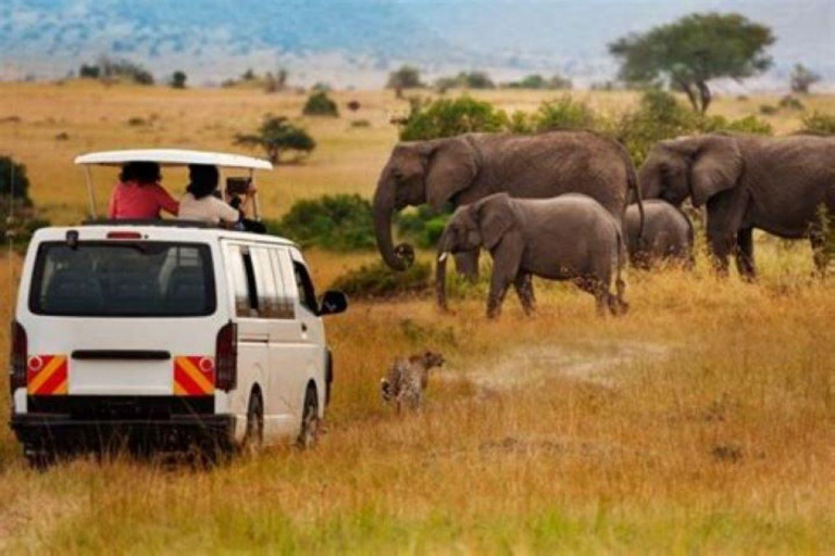 Nairobi: Amboseli National Park Day Tour with Lunch Amboseli National Park Day Trip with lunch private tour.