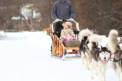 Ushuaia: Snow Park with Sled and Snowmobile Ushuaia: Winter Park with Sledding and Snowmobiling