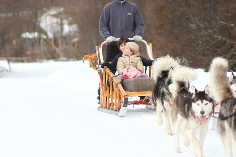 Ushuaia: Snow Park with Sled and Snowmobile Ushuaia: Winter Park with Sledding and Snowmobiling