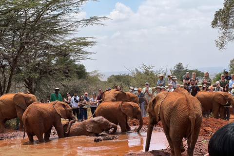 Parque Nacional de Nairóbi, Elephant Trust e Giraffe Center