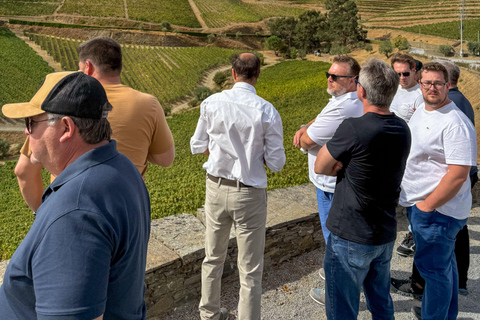 Douro Valley: Wine & Olive Oil Tour with Boat & Lunch Douro Valley: 2 Wineries, Boat Cruise & Traditional Lunch