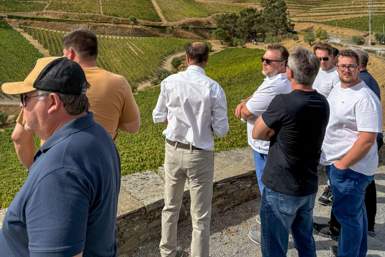 Douro Valley: Wine & Olive Oil Tour with Boat & Lunch Douro Valley: 2 Wineries, Boat Cruise & Traditional Lunch