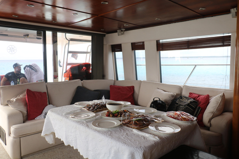 Punta Cana: Saona Island Private Catamaran Tour & Lunch