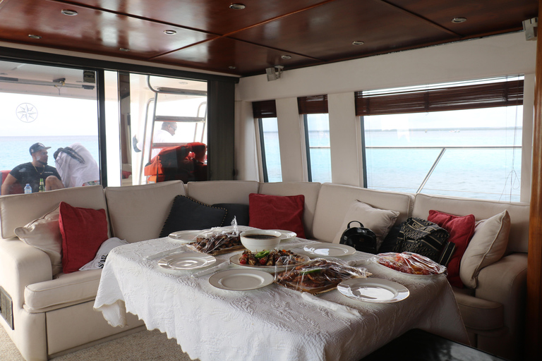 Punta Cana: Saona Island Private Catamaran Tour & Lunch