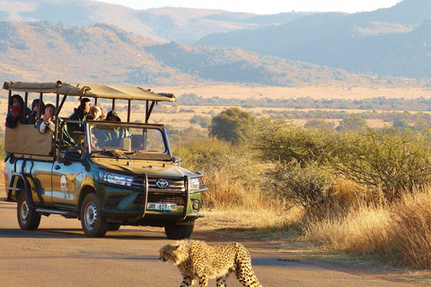 10 jours d&#039;Afrique du Sud ultra-budgétaire