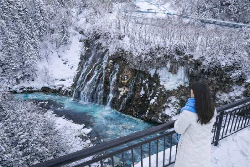 Sapporo: Asahiyama Zoo, Waterfall, and Blue Pond Tour